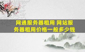 网通服务器租用 网站服务器租用价格一般*